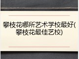 攀枝花哪所艺术学校最好(攀枝花最佳艺校)