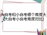 大自考和小自考哪个难度大(大自考小自考难度对比)