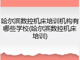 哈尔滨数控机床培训机构有哪些学校(哈尔滨数控机床培训)