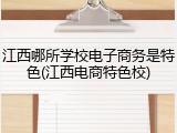 江西哪所学校电子商务是特色(江西电商特色校)