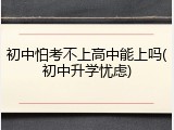 初中怕考不上高中能上吗(初中升学忧虑)