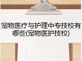 宠物医疗与护理中专技校有哪些(宠物医护技校)