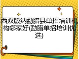 西双版纳勐腊县单招培训机构哪家好(勐腊单招培训优选)