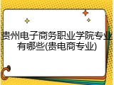 贵州电子商务职业学院专业有哪些(贵电商专业)