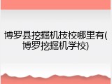 博罗县挖掘机技校哪里有(博罗挖掘机学校)