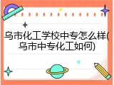 乌市化工学校中专怎么样(乌市中专化工如何)