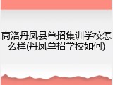 商洛丹凤县单招集训学校怎么样(丹凤单招学校如何)