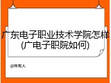 广东电子职业技术学院怎样(广电子职院如何)