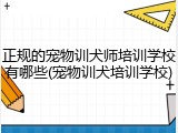 正规的宠物训犬师培训学校有哪些(宠物训犬培训学校)