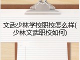 文武少林学校职校怎么样(少林文武职校如何)