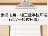 武汉市第一轻工业学校环境(武汉一轻校环境)