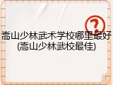 嵩山少林武术学校哪里最好(嵩山少林武校最佳)