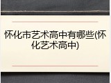 怀化市艺术高中有哪些(怀化艺术高中)