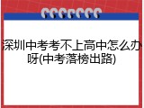 深圳中考考不上高中怎么办呀(中考落榜出路)