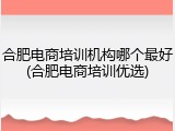 合肥电商培训机构哪个最好(合肥电商培训优选)