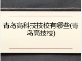 青岛高科技技校有哪些(青岛高技校)
