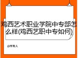 鸡西艺术职业学院中专部怎么样(鸡西艺职中专如何)
