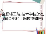 合肥轻工院 技术学校怎么样(合肥轻工院技校如何)