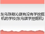 东乌珠穆沁旗有没有学挖掘机的学校(东乌旗学挖掘机)