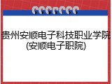 贵州安顺电子科技职业学院(安顺电子职院)