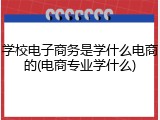 学校电子商务是学什么电商的(电商专业学什么)