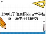 上海电子信息职业技术学校it(上海电子IT职校)