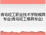 青岛轻工职业技术学院模具专业(青岛轻工模具专业)