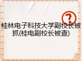 桂林电子科技大学副校长被抓(桂电副校长被查)