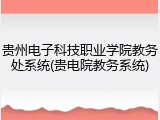 贵州电子科技职业学院教务处系统(贵电院教务系统)