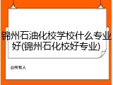 锦州石油化校学校什么专业好(锦州石化校好专业)