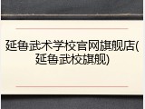 延鲁武术学校官网旗舰店(延鲁武校旗舰)