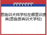 恩施训犬师学校在哪里训贵宾(恩施贵宾训犬学校)