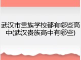武汉市贵族学校都有哪些高中(武汉贵族高中有哪些)