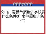 文山广南县单招集训学校要什么条件(广南单招集训条件)