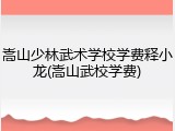 嵩山少林武术学校学费释小龙(嵩山武校学费)