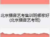 北京播音艺考集训班哪家好(北京播音艺考班)