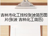 吉林市化工技校张波简历图片(张波 吉林化工简历)