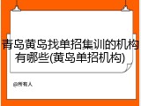 青岛黄岛找单招集训的机构有哪些(黄岛单招机构)