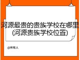 河源最贵的贵族学校在哪里(河源贵族学校位置)