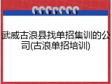 武威古浪县找单招集训的公司(古浪单招培训)