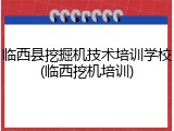 临西县挖掘机技术培训学校(临西挖机培训)