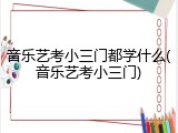 音乐艺考小三门都学什么(音乐艺考小三门)