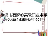 武汉市石牌岭高级职业中学怎么样(石牌岭职中如何)