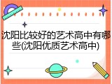 沈阳比较好的艺术高中有哪些(沈阳优质艺术高中)