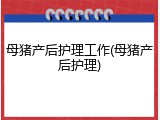 母猪产后护理工作(母猪产后护理)