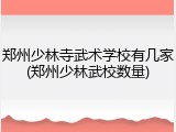 郑州少林寺武术学校有几家(郑州少林武校数量)