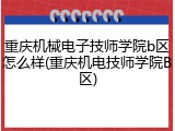 重庆机械电子技师学院b区怎么样(重庆机电技师学院B区)