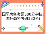 国际商务考研380分学校(国际商务考研380分)