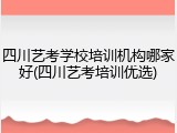 四川艺考学校培训机构哪家好(四川艺考培训优选)