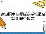 建湖职中在哪叛逆学校报名(建湖职中报名)